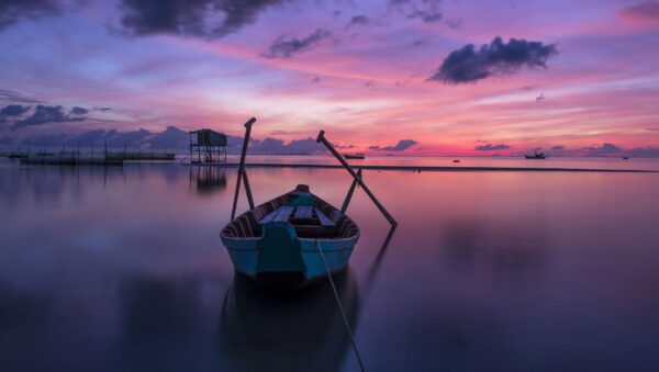 white row boat on body of water